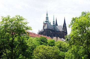 Saint Vitus Cathedral in Prague