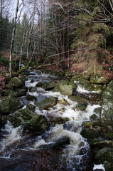 Jizera mountains, Czech republic