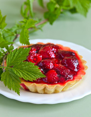 raspberry pie and green twig
