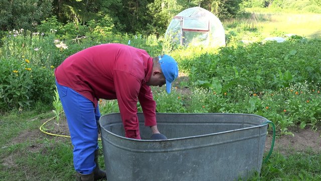 Farmer man draw water from water reservoir barrel in garden and watering plants with can in drought summer time. Static shot. 4K
