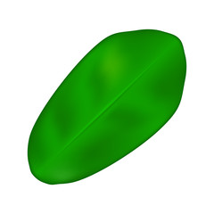 Leaf vector illustration icon, symbol, design. Cartoon green tree element isolated on white background