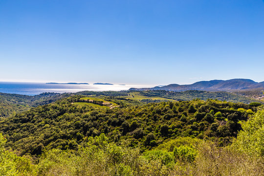 Coast Covered By Trees Near Gassin-France