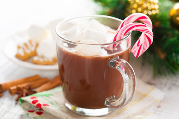 Hot chocolate with marshmallows