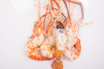 head fat or egg raw tiger fresh shrimps