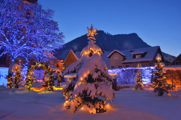 Weihnachtsbaum und Dekoration  im Garten / Park 