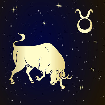 Zodiac Taurus is the starry sky