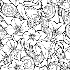 Seamless background in vector with doodles, flowers and paisley. 