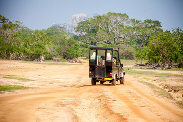 прогулка по сафари на машине © Silverstony