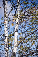 October in Wisconsin