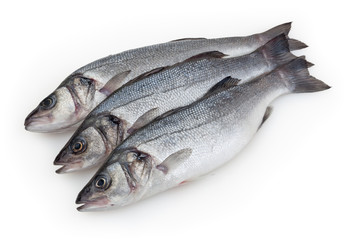 Seabass isolated on white background with clipping path