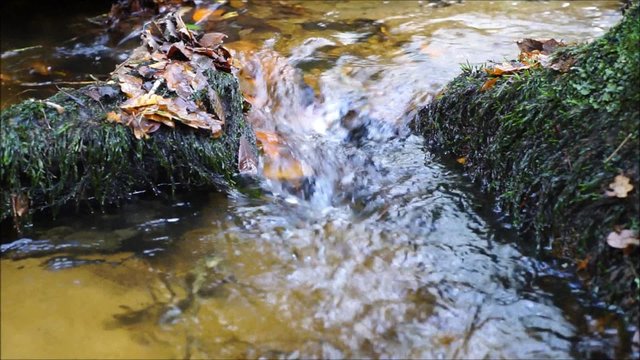 Bach flie&szlig;t zwischen bemoosten Felsen - Nahaufnahme