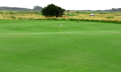 Gorgeous view at the beautiful golf course.