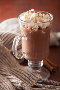 hot chocolate with mini marshmallows cinnamon winter drink