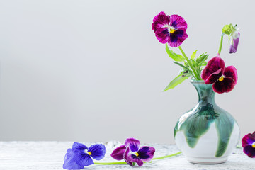 beautiful violet flowers on white background