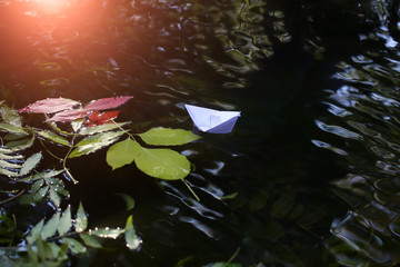 Naklejka premium Colorful leaves on water