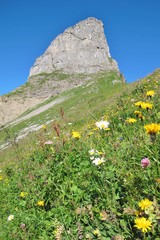 Vorder-Eggstock, Braunwalder Klettersteig