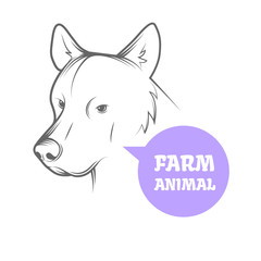 Vector image of an dog