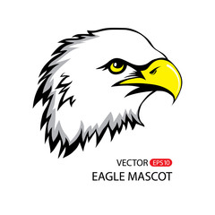 Eagle head mascot