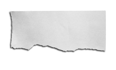 Fototapeta premium Pieces of torn paper background. Copy space