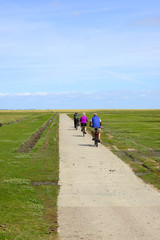 Fototapeta premium Fahrradfahrer an der Nordsee
