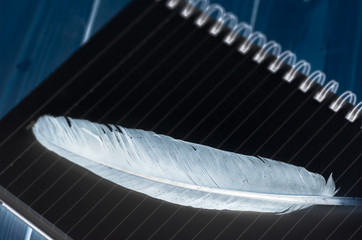 feather on black notebook