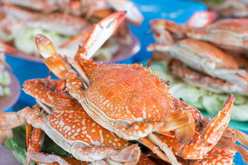 Steamed crab on the plate , Close up on carapace