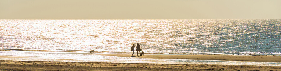 Fototapeta na wymiar Strolling on a beach at sunset