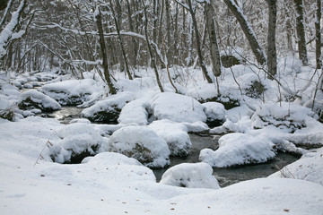 Oirase stream in winter