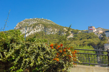 famous Rock of Gibraltar, Spain