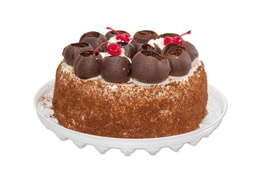 Sponge cake on a light background