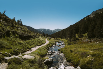 Fototapeta na wymiar Mountain landscape with a little river