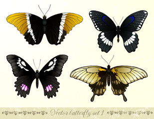 Vector butterflies set