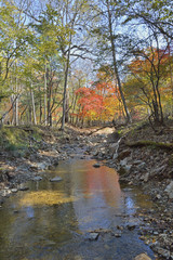 Autumn woodsy river 19