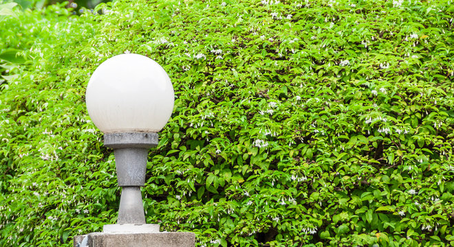 Sphere lamp on lamppost with Wrightia religiosa plant background. The electrical lamp in public park.