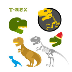 Tyrannosaurus collection of items. Bones and the skeleton. Head © popaukropa