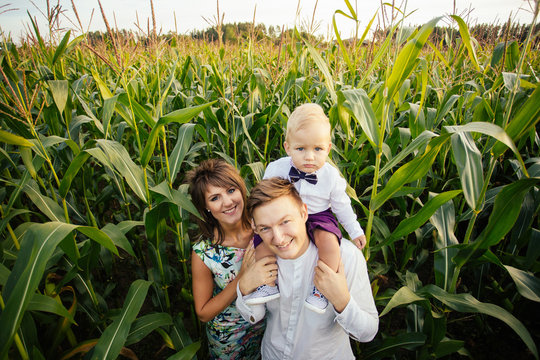 Happy family - mom, dad and son, standing in a large corn field in the Summer.