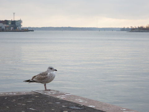 M&aring;s