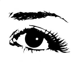 Human Female Eye with eyebrow as Vector. Icon design over white