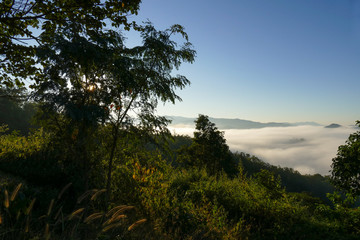 Fototapeta na wymiar sea of mist and fog on the mountain