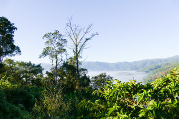 sea of mist and fog on the mountain