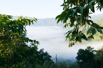 sea of mist and fog on the mountain