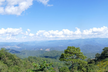 mountain and forest view