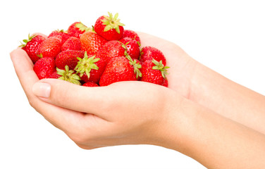 strawberries in a hands