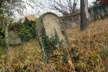 Old gravestone on ancient graveyard (autumn)