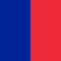 Flag of Paris, France