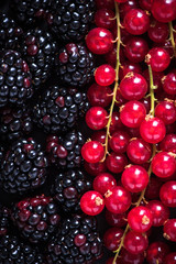 Farm fresh summer berry fruits background