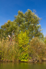 Astrakhan River expanses