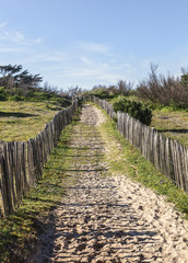 Fototapeta na wymiar Footpath on the Atlantic Dune in Brittany