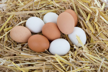 White and brown eggs in the straw on wooden background