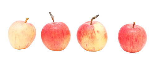 Four apples on a white background